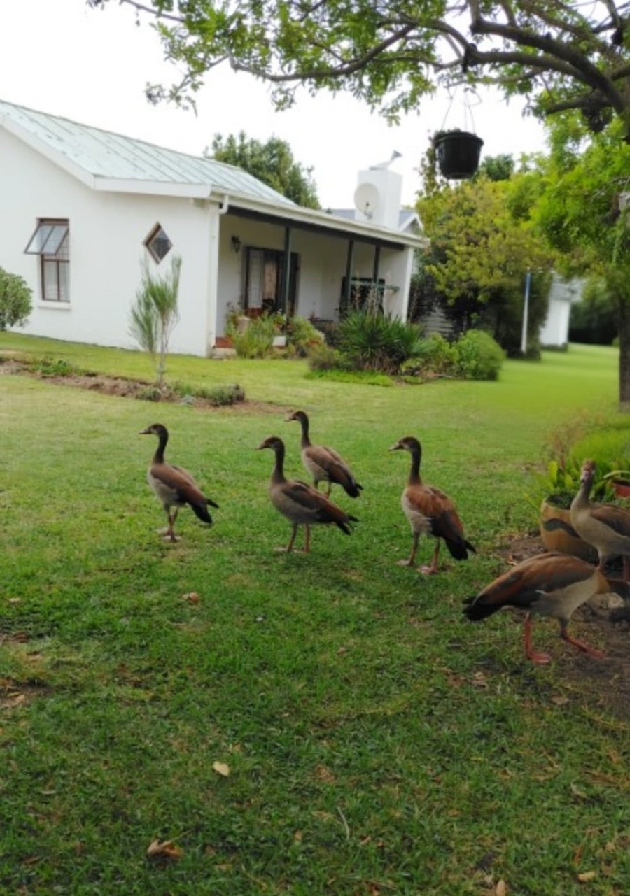 2 Bedroom Property for Sale in Sandbaai Western Cape